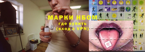стаф Алексин
