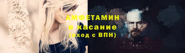 стаф Алексин