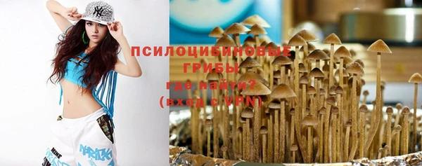 2c-b Алексеевка