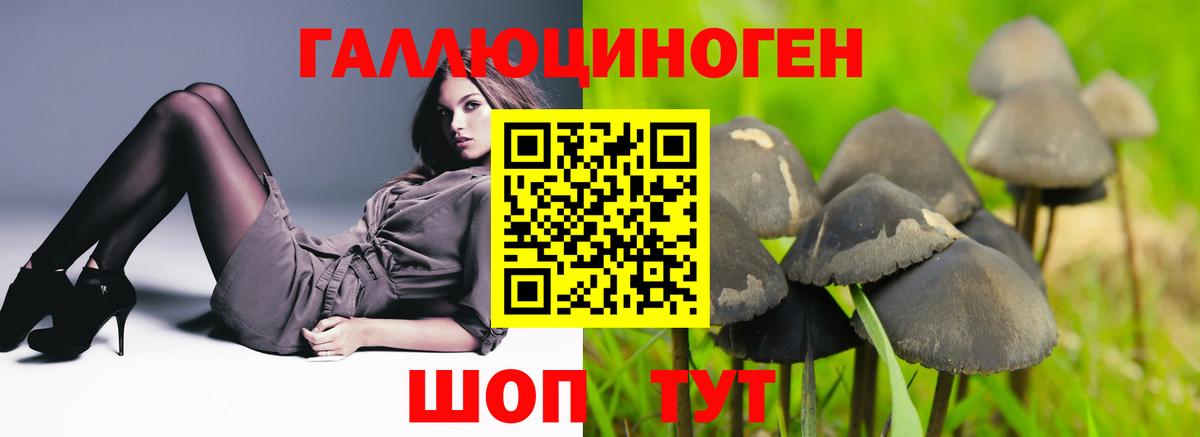 Балахна  Вход с VPN  Наркошоп  Мефедрон   Cocaine  Гашиш  Конопля 